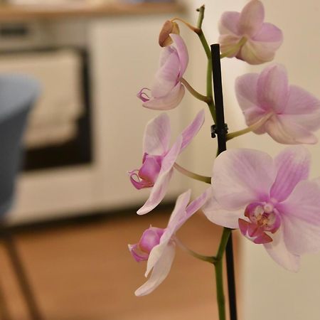 Ηλιόλουστο Apartment เอเธนส์ ภายนอก รูปภาพ